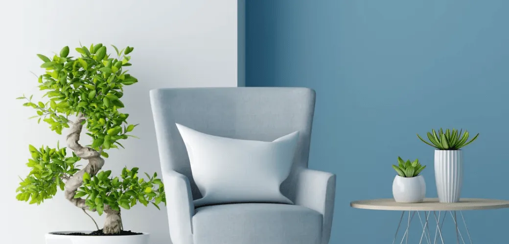 Home Corner Interior